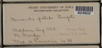 Image Associated With the Occurrence